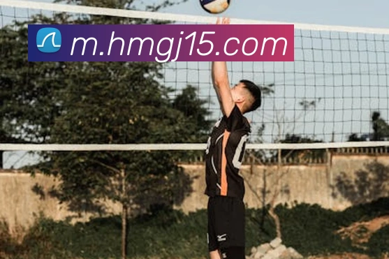 豪门国际服务体系